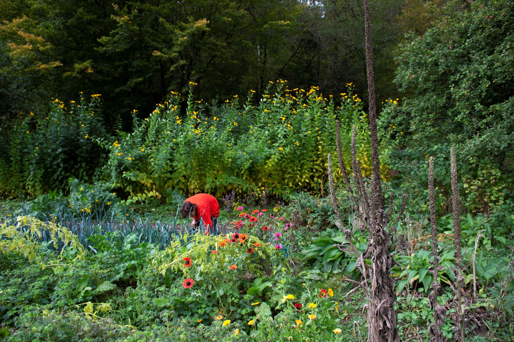 Jardins du Moulin©dbcreation-MTFSH (22)