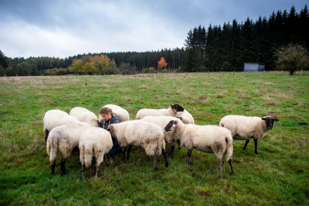ferme_du_long_pre©dbcreation-MTFSH (23)