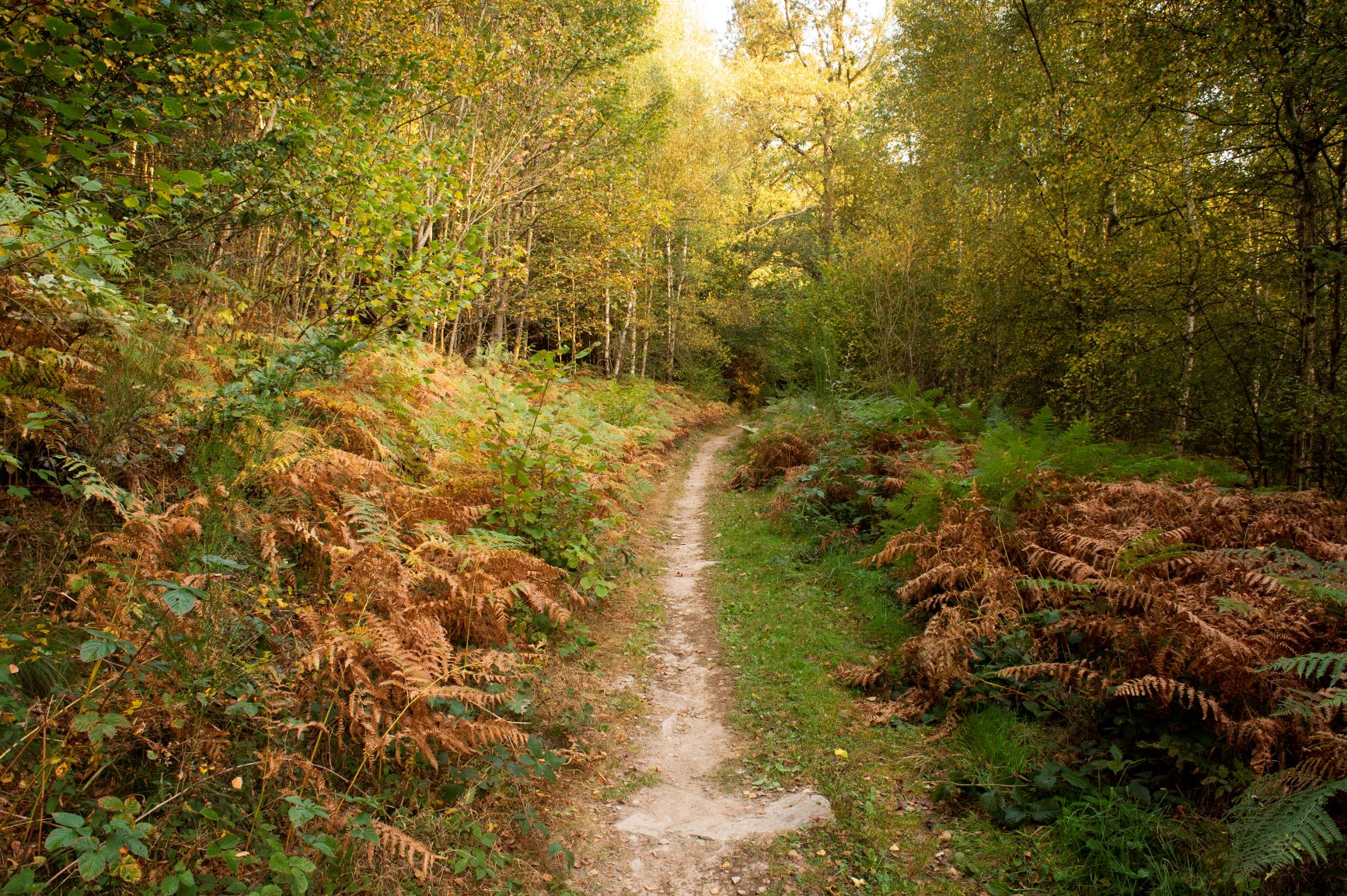 entre le bivouac et lesse©dbcreation-MTFSH (2)