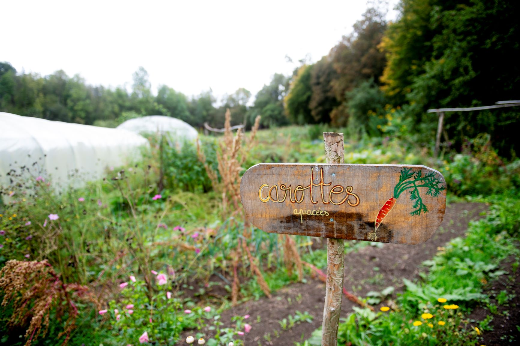 Jardins du Moulin©dbcreation-MTFSH (63)