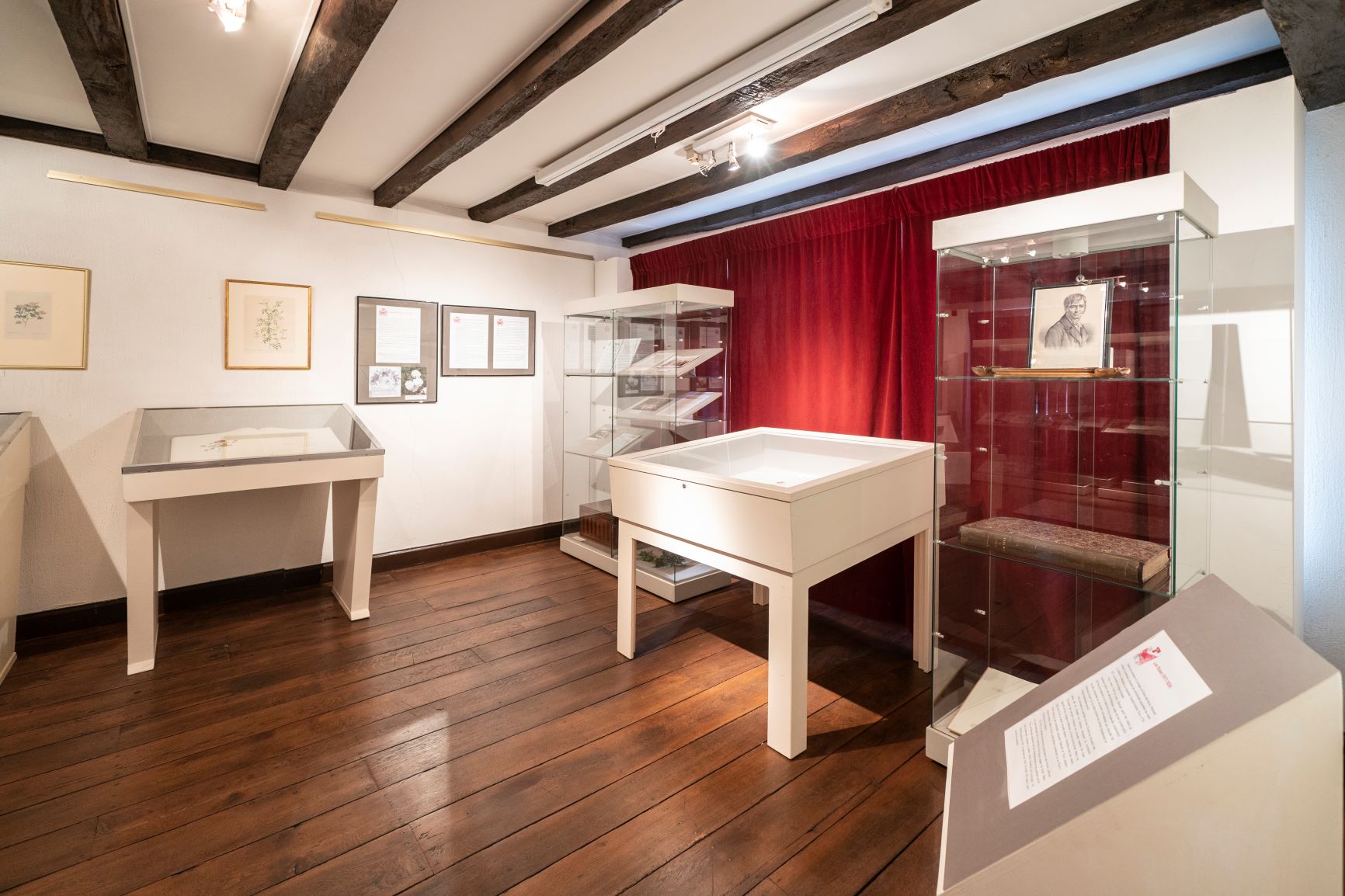 musee_redoute©dbcreation-MTFSH (18)