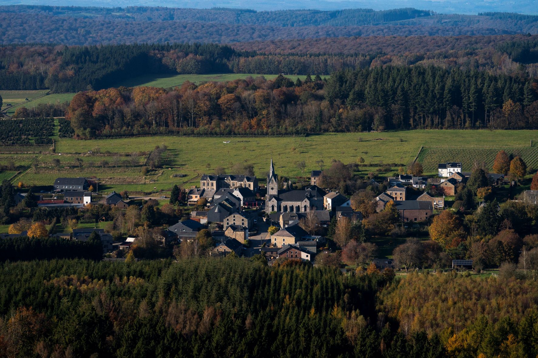 foretdesainthubert©dbcreation-MTFSH (3)