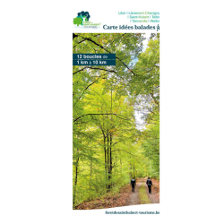 Map "Carte idées balades à pied" in French